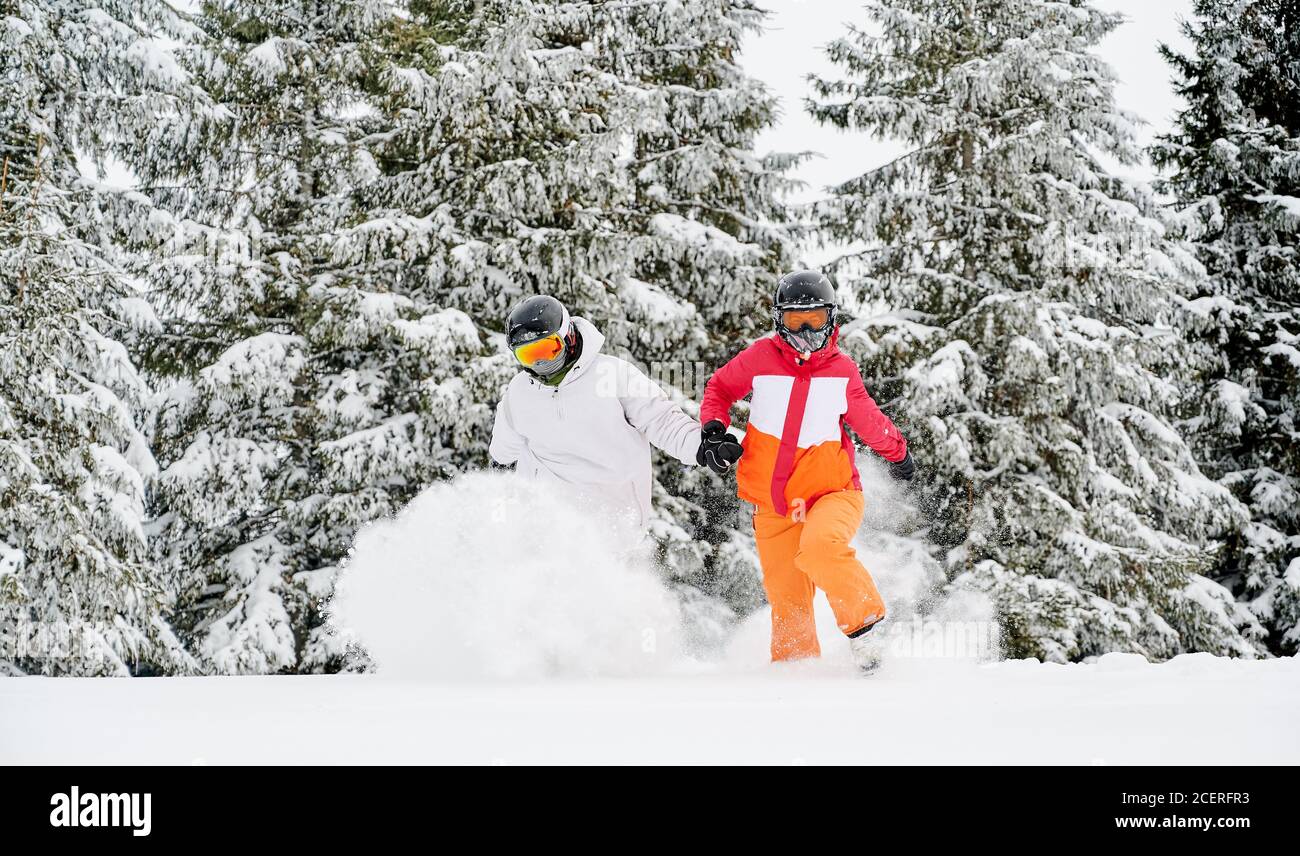 Woman and man in ski suits and helmets running through powder snow in winter forest with snowy coniferous trees on background. Young skiers in goggles spending time together at ski resort. Stock Photo