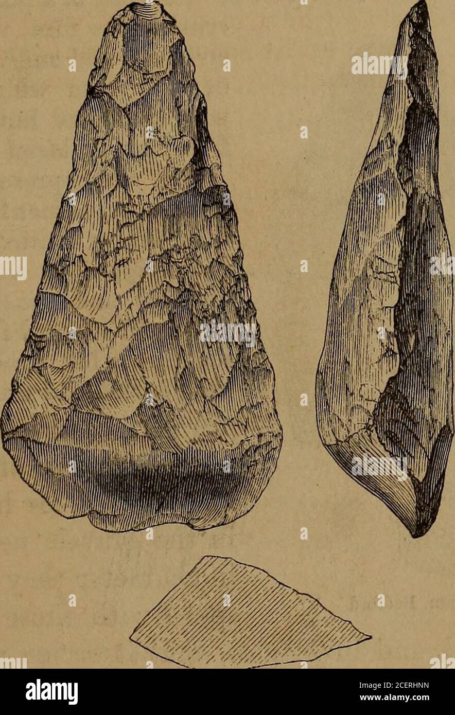 . The ancient stone implements, weapons, and ornaments, of Great Britain. Fig. 415.—Biddenham, Bedford. shows the natural crust of the flint at its truncated end, and is welladapted for being held in the hand when used. Other specimens from the Biddenham Pit are engraved on the scale ofone-half linear measure in Figs. 416 to 418. The whole, with the exception of Fig. 417, are in the collection ofMr. Wyatt. I1-- ll(&gt; is of ochieows cherty flint, symmetrically chipped, andBhowing a portion of the original crust of the flint at the base. Itsangles are sharp, and not water-worn. In character it Stock Photo