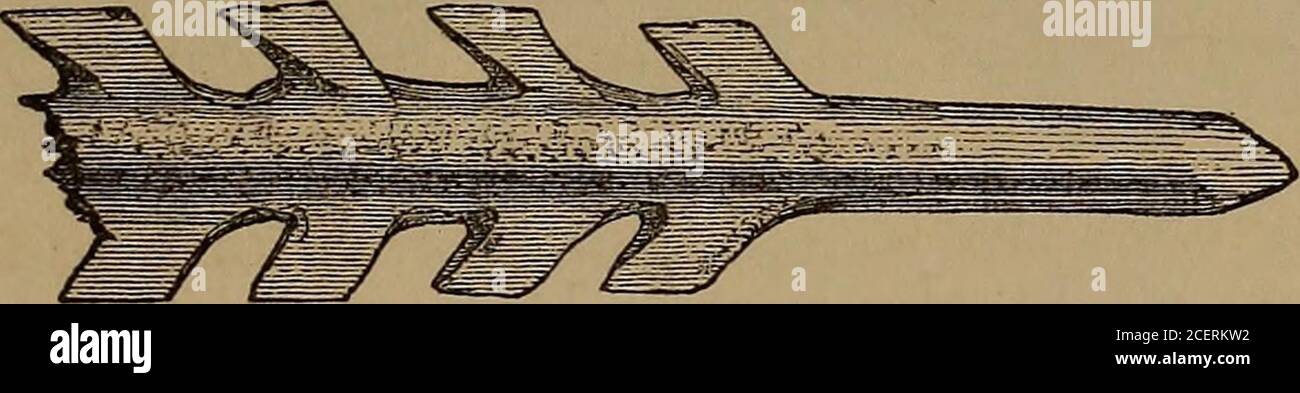 The Ancient Stone Implements Weapons And Ornaments Of Great Britain 459 Same Numbers As The Simple Instruments Of Flint The Latter Werereadily Made And Therefore Of Little Value They Were Also The Ancient Stone Implements Weapons And Ornaments Of Great Britain 459 Same Numbers As The Simple Instruments Of Flint The Latter Werereadily Made And Therefore Of Little Value They Were Also