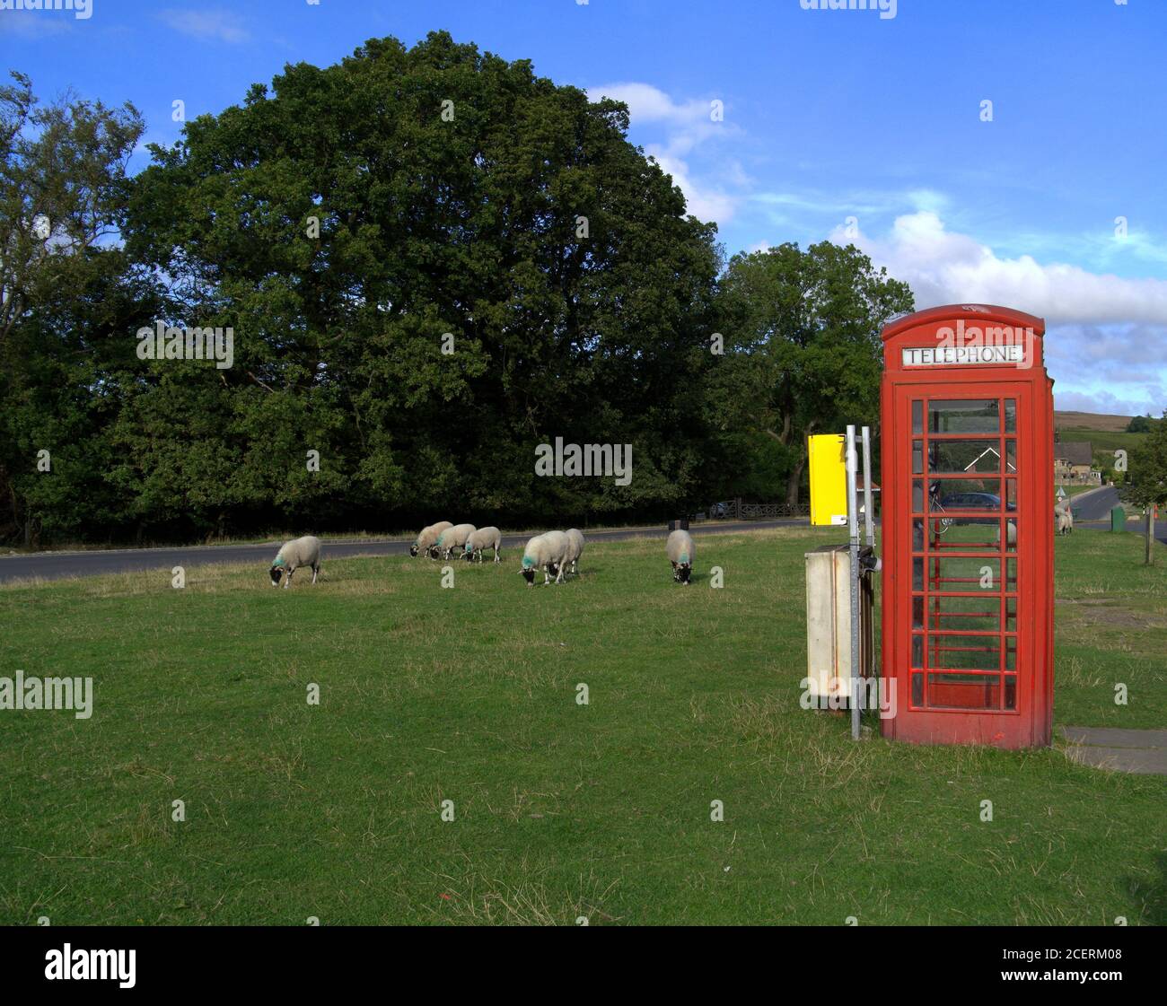 Goathland, North Yorkshire, United Kingdom - August 27 2014: A flock of sheep grazing in the village. Stock Photo