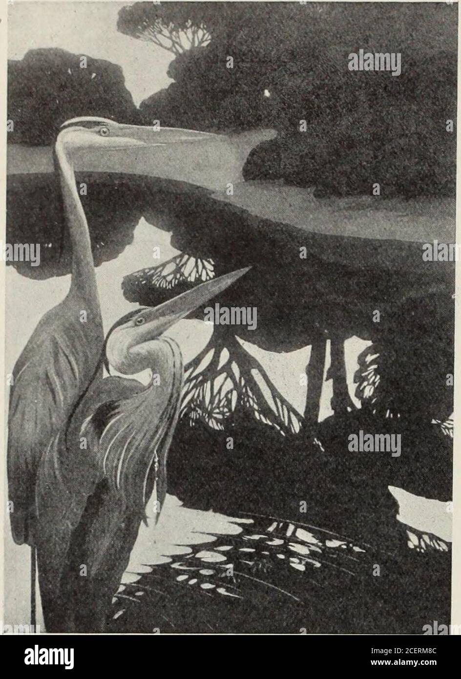 International Studio An Illustrated Magazine Of Fine And Applied Art Well Represented Nor Must Franz Barwig Be Passed Over For His Wood Sculpture Was Excellent Craphic Art Was Well To The Fore
