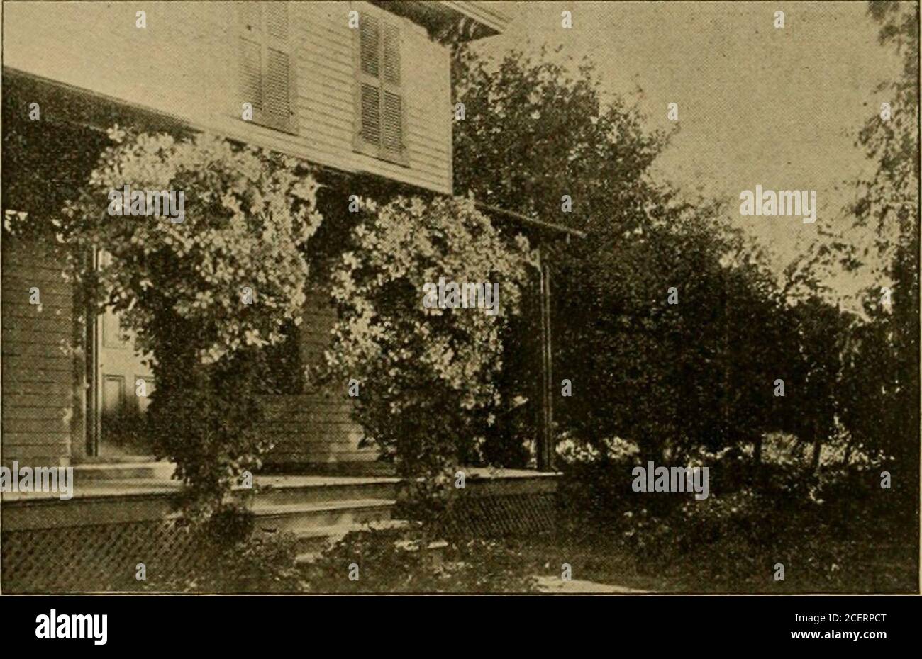 Popular Gardening And Fruit Growing An Illustrated Periodical Devoted To Horticulture In All Its Branches Onias Whilelack Of Attention Was Killing Some Of Myfloral Treasures Too Much Rain Or Drouthinjuring Others