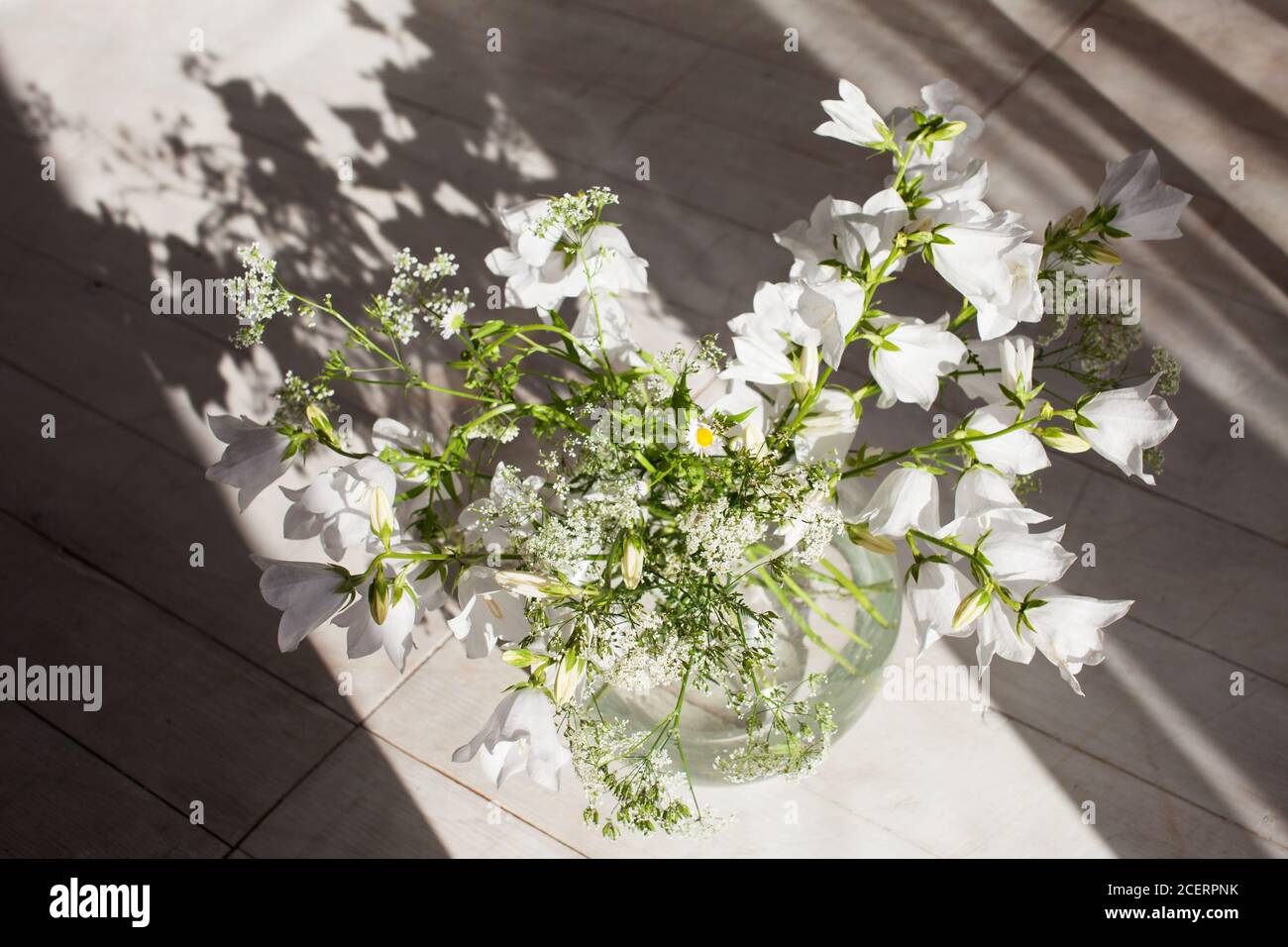 White bell flowers in a glass vase. Flowers in evening sunlight and shadow. Amazing shape, curve from white daisy flower pot with long oblique shadow Stock Photo