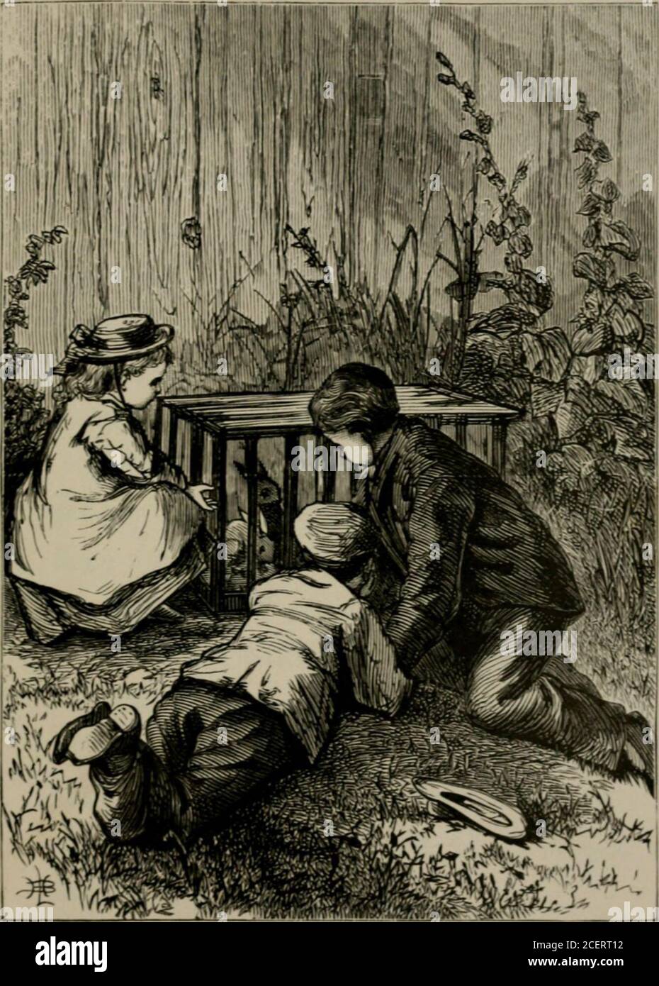 Papa rabbit hi-res stock photography and images - Alamy