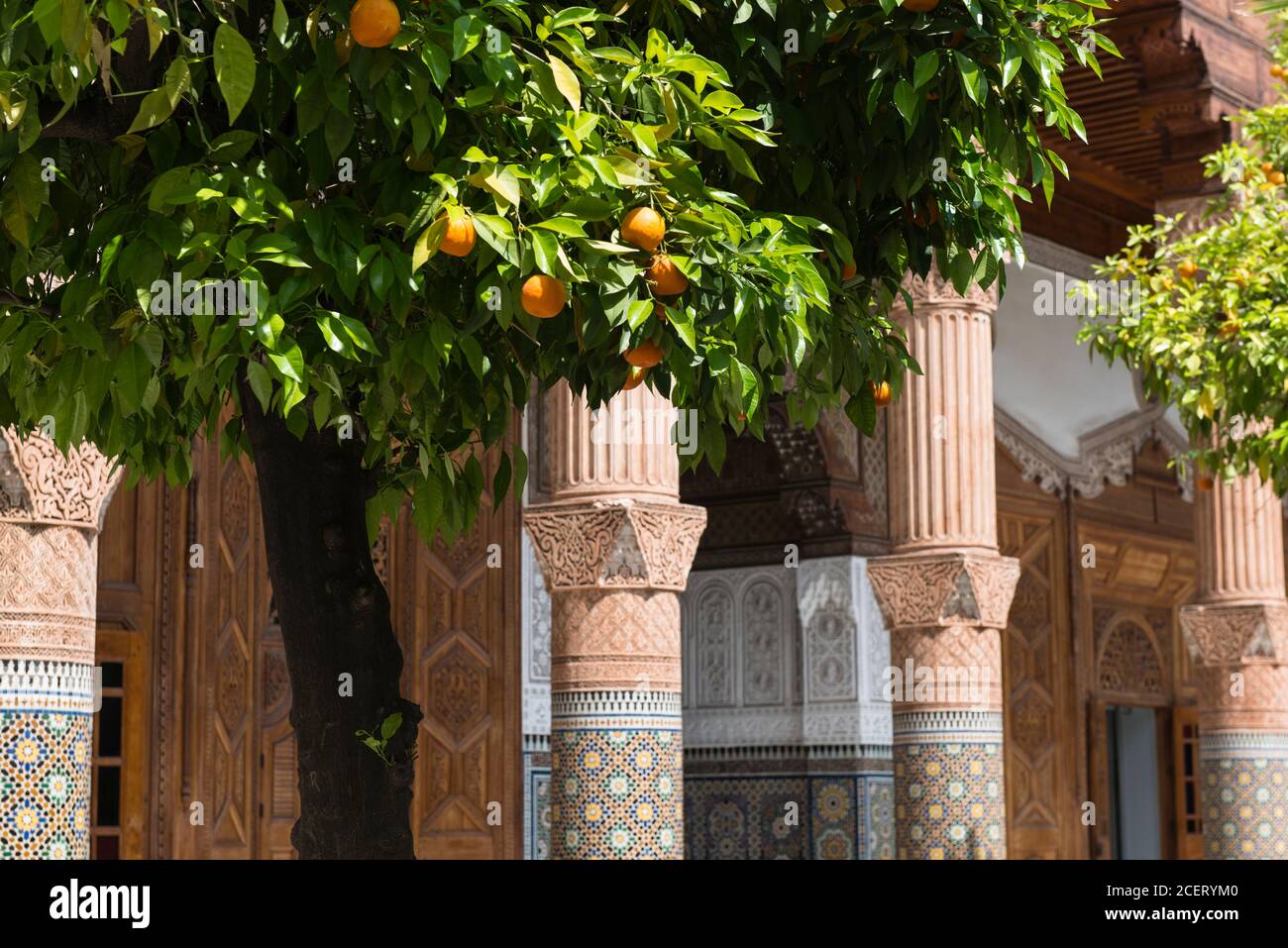 Orange trees growing in the courtyard of  Dar el-Bacha Palace, Medina, Marrakesh Stock Photo