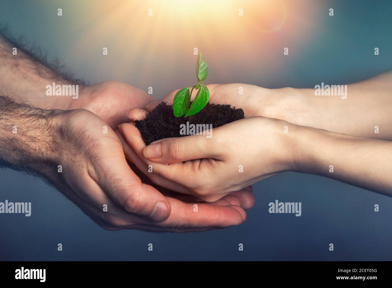 Female and male hands hold fertile land with a small sprout. The