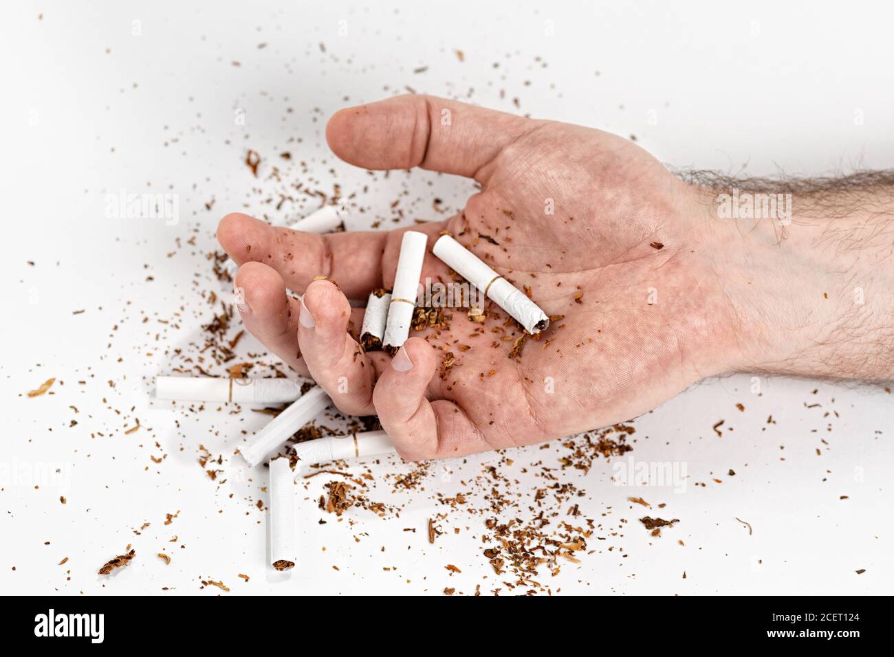 cigarette dependence The concept of nicotine dependence and diseases from tobacco Smoking. There  is a man's hand with broken cigarettes in the palm. The man is unconscious  Stock Photo