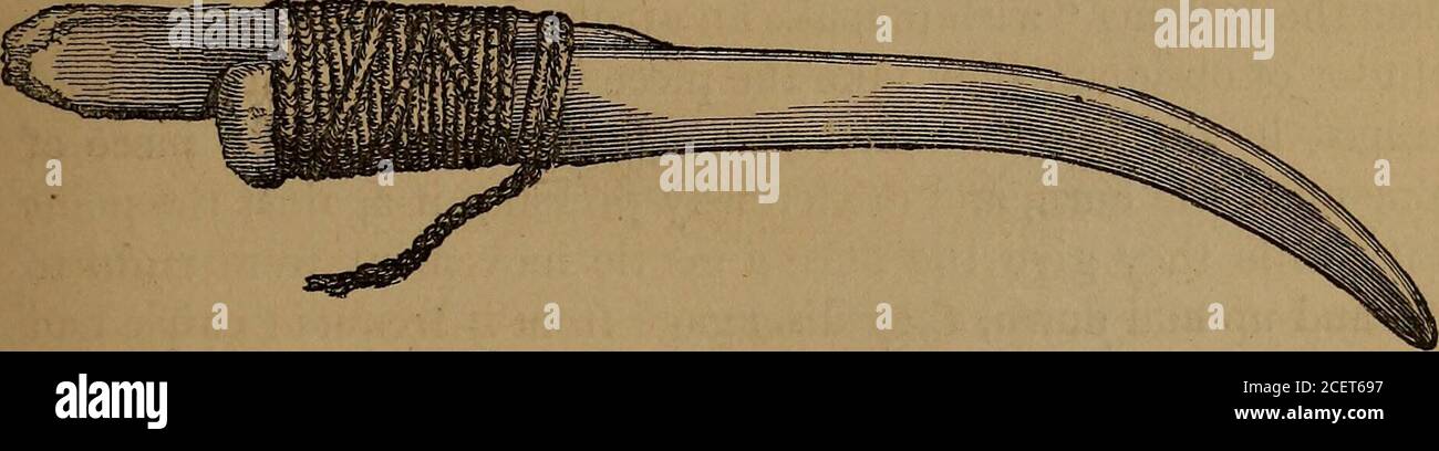. The ancient stone implements, weapons, and ornaments, of Great Britain. /. Fig. 9.—Esquimaux Arrow-flaker. wooden handle, is shown, in Fig. 10, from an original in the same Stock Photo