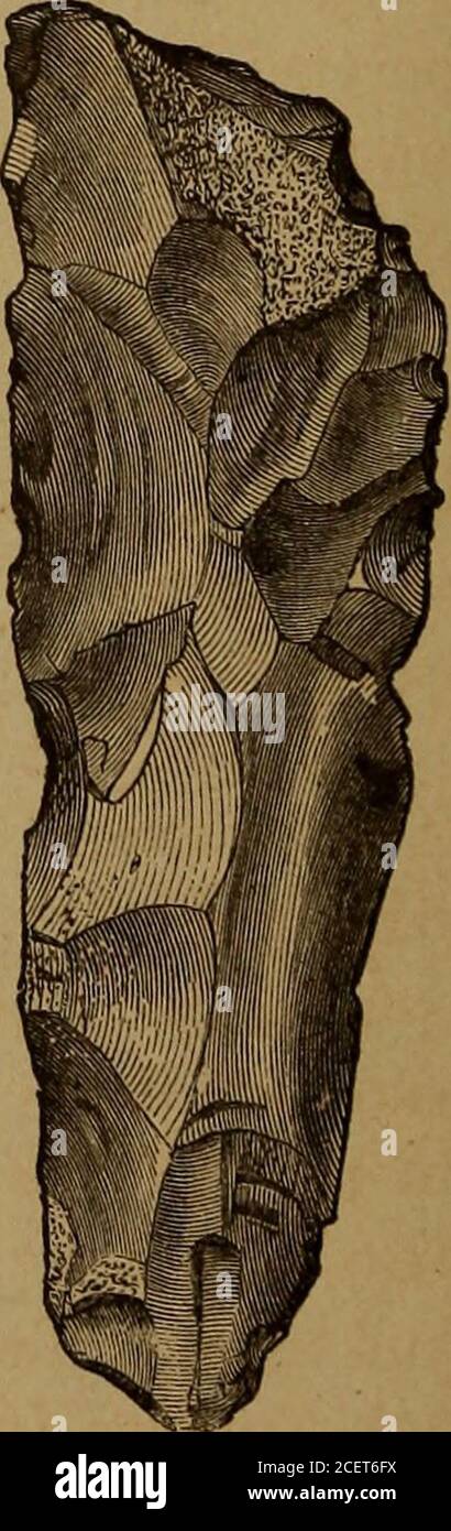 . The ancient stone implements, weapons, and ornaments, of Great Britain. Fig. 6.—Flake—Pressigny. Fig. 7. -Flake—Pressigny. vention of a set or punch. No doubt the face of the flint at thetime of the blow being struck was supported on some elastic body.A few flints which bear marks of having been used as hammer-stones are found at Pressigny. I have hitherto been treating of the production of flint flakesfor various purposes. In such cases the flakes are everything, andthe resultingcore, or nucleus, mere refuse. In the manufacture ofcelts, or hatchets, the reverse is the case : the flakes are Stock Photo