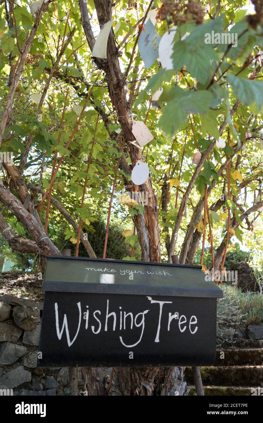 A wishing tree, in Eugene, Oregon, USA Stock Photo Alamy