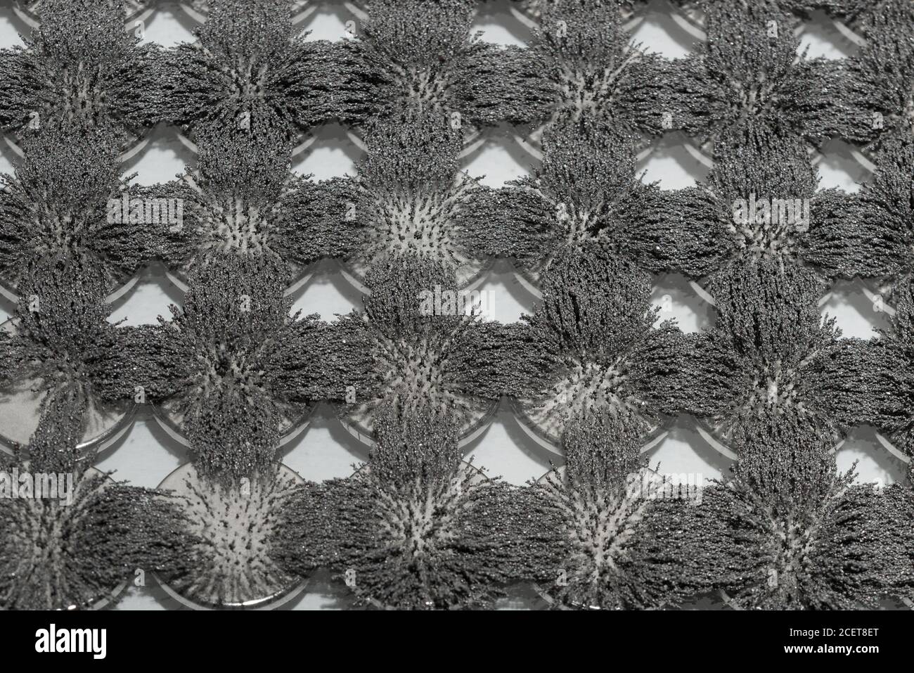 Invisible magnetic flux made visible with iron filings creating interesting  interlocking patterns with circular magnet Stock Photo