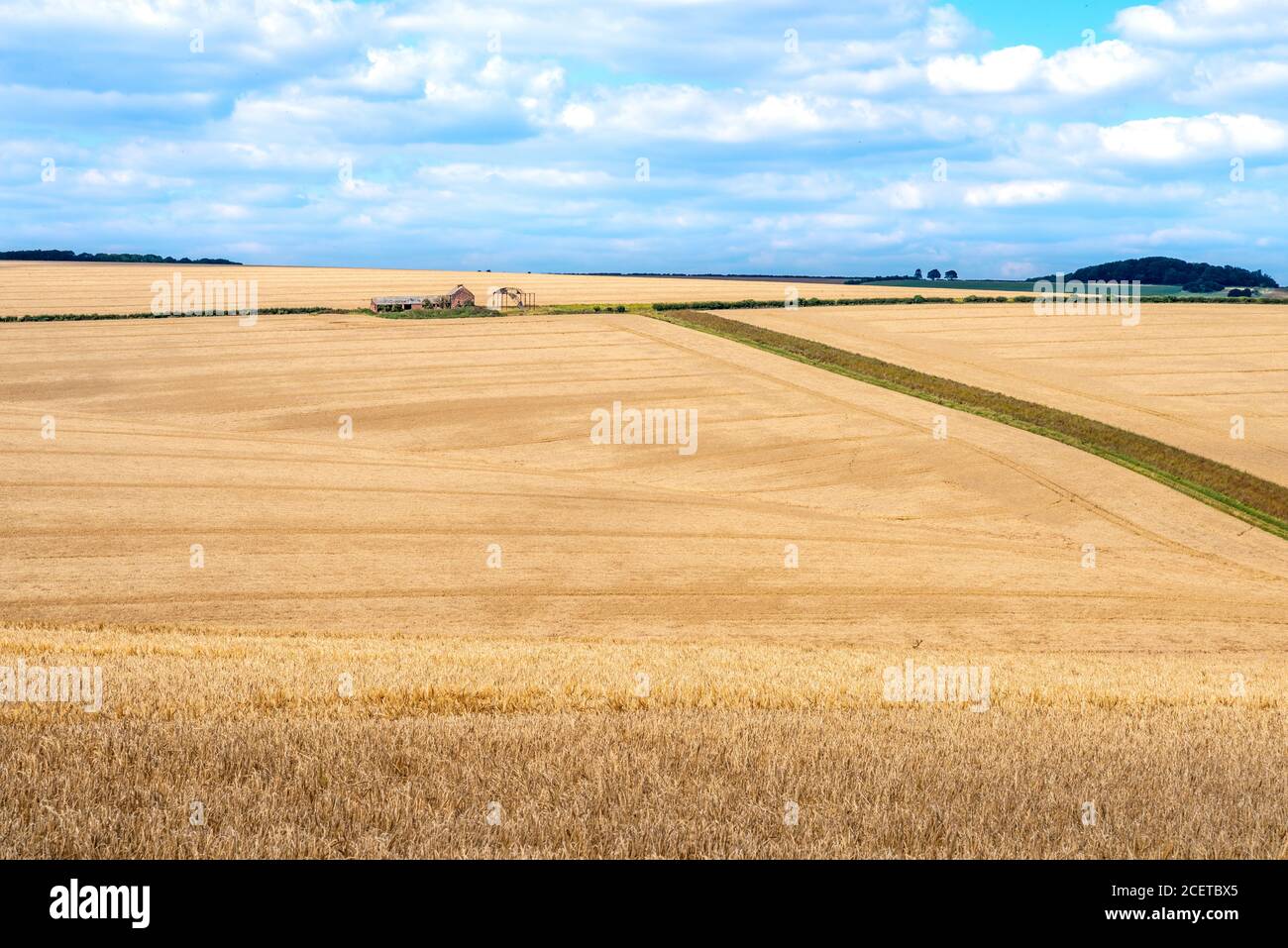 Colourful landscape view over rolling hills and wheat fields on a sunny day with white clouds. Stock Photo