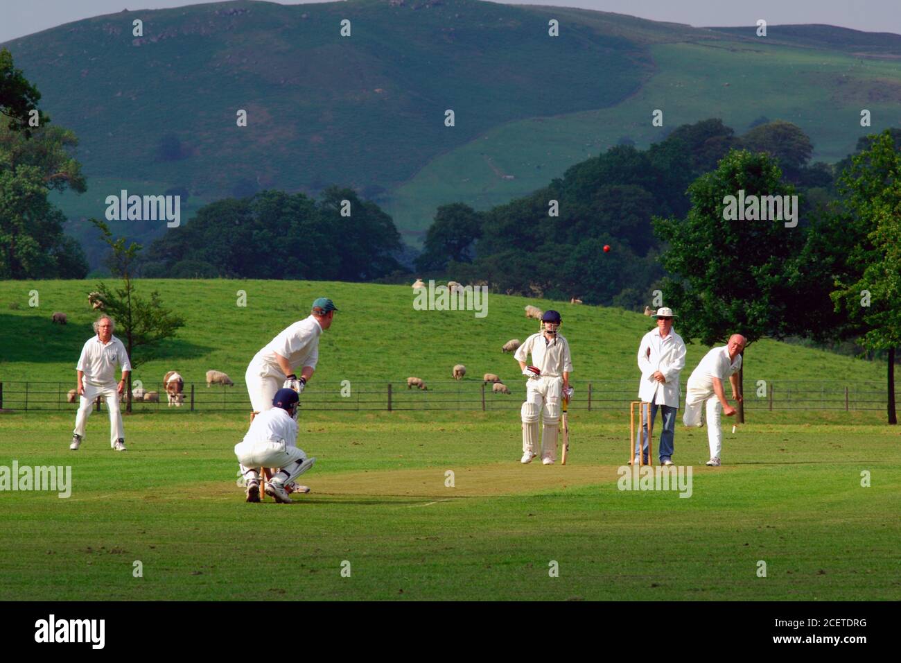 Village cricket match Bolton Abbey; Yorkshire UK Stock Photo Alamy