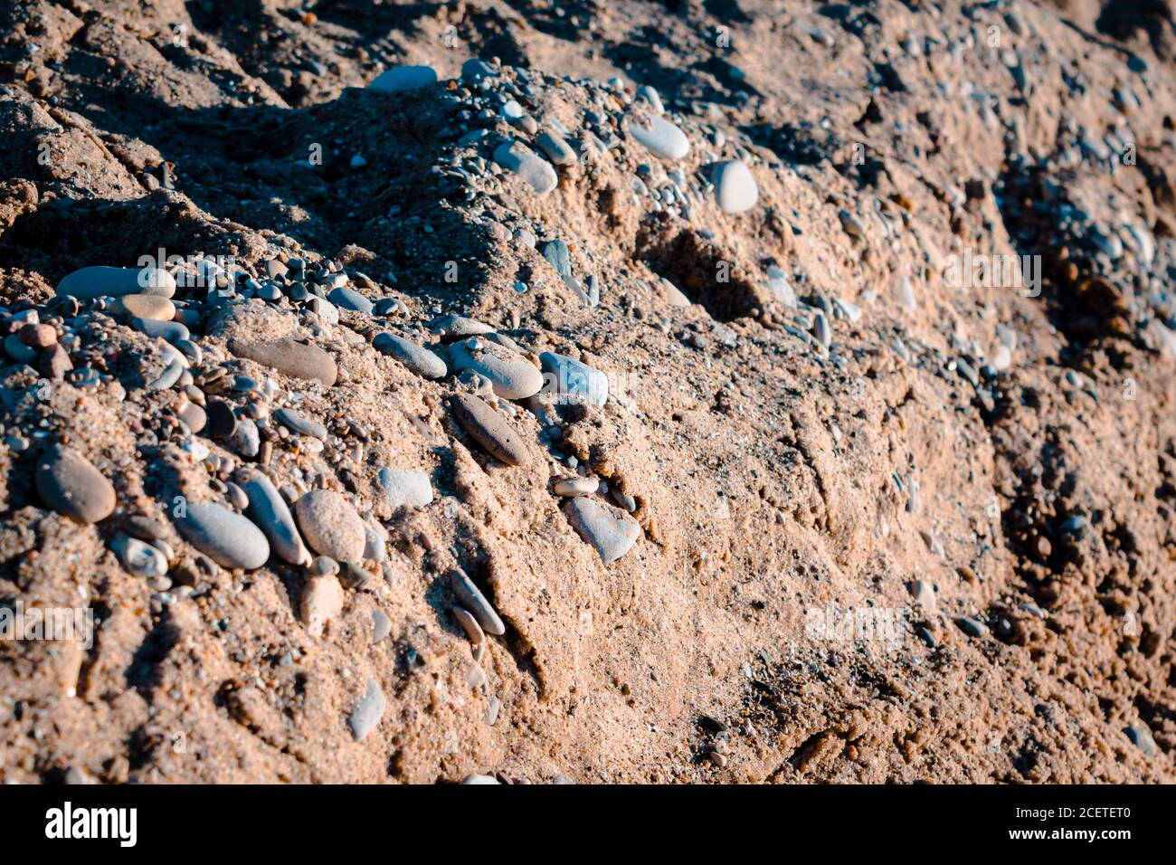 Raw Petoskey Stones in the sand on the beach in Charlevoix Michigan