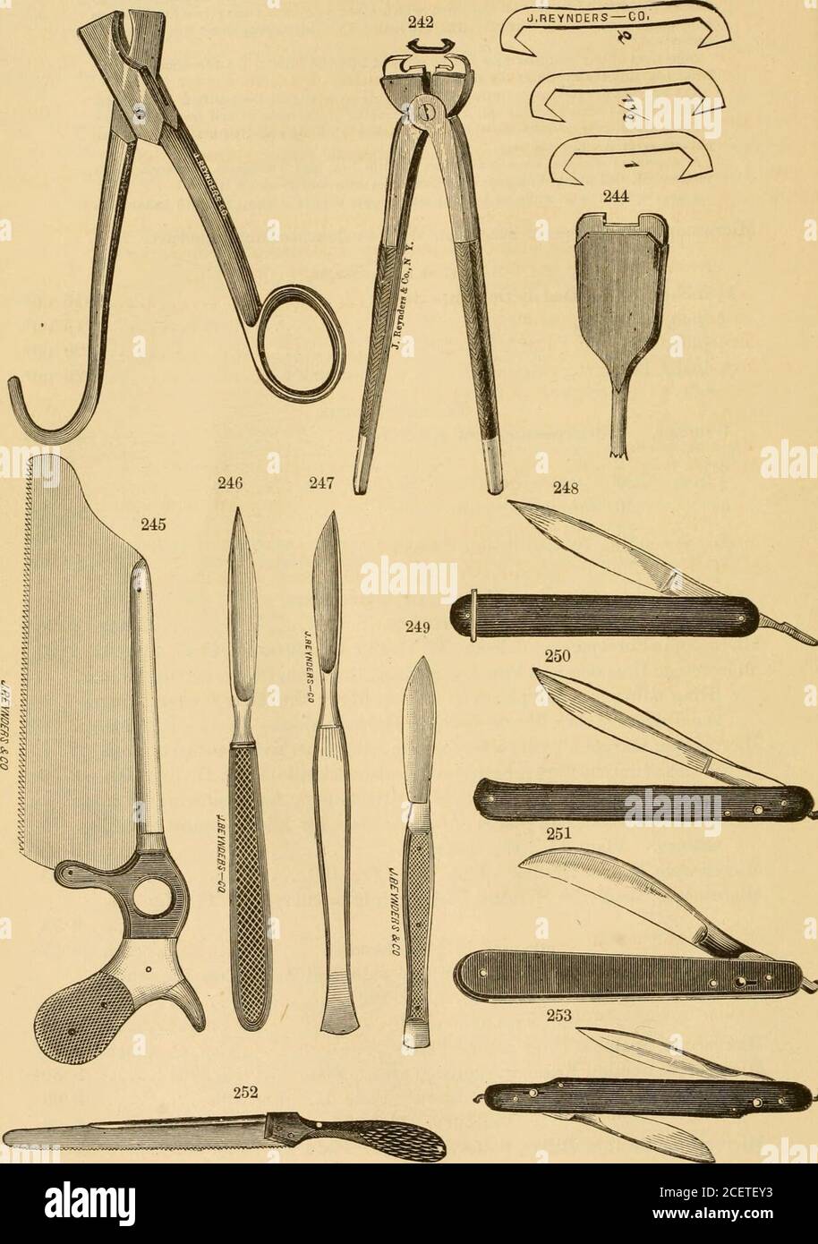 . Illustrated alphabetical register of veterinary instruments, anatomical models, books, &c.. mallpiecesof skin, for microscopical examinations. PI. 17. Fig. 205. 3 00*Microscopic Harpoon with SHde, for removing from living subjects small pieces of muscle fibre for microscopical examinations. PI. 17. Fig. 203a 3 50Microscopic Instrument with Spiral Attachment, for removing fromUving subjects small pieces of muscle fibre, for microscopical exami-nations. Plate 17. Fig. 203 B 3 00* Microscopic Needle Holder. Plate 17. Fig. 196 1 25 Microscopic Needles in Handles, best, straight or curved. PI. 17 Stock Photo