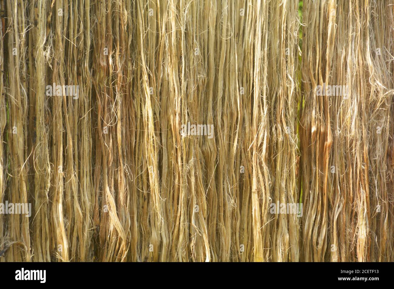 Close up of jute fabric, fibers hanging down for drying in direct sunlight, selective focusing Stock Photo