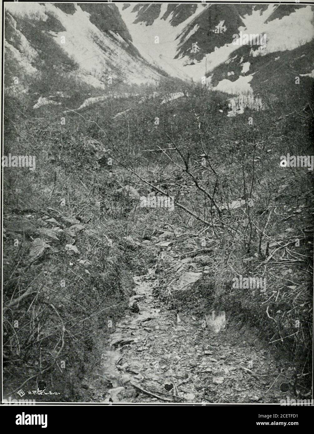 Ehn High Resolution Stock Photography And Images Alamy