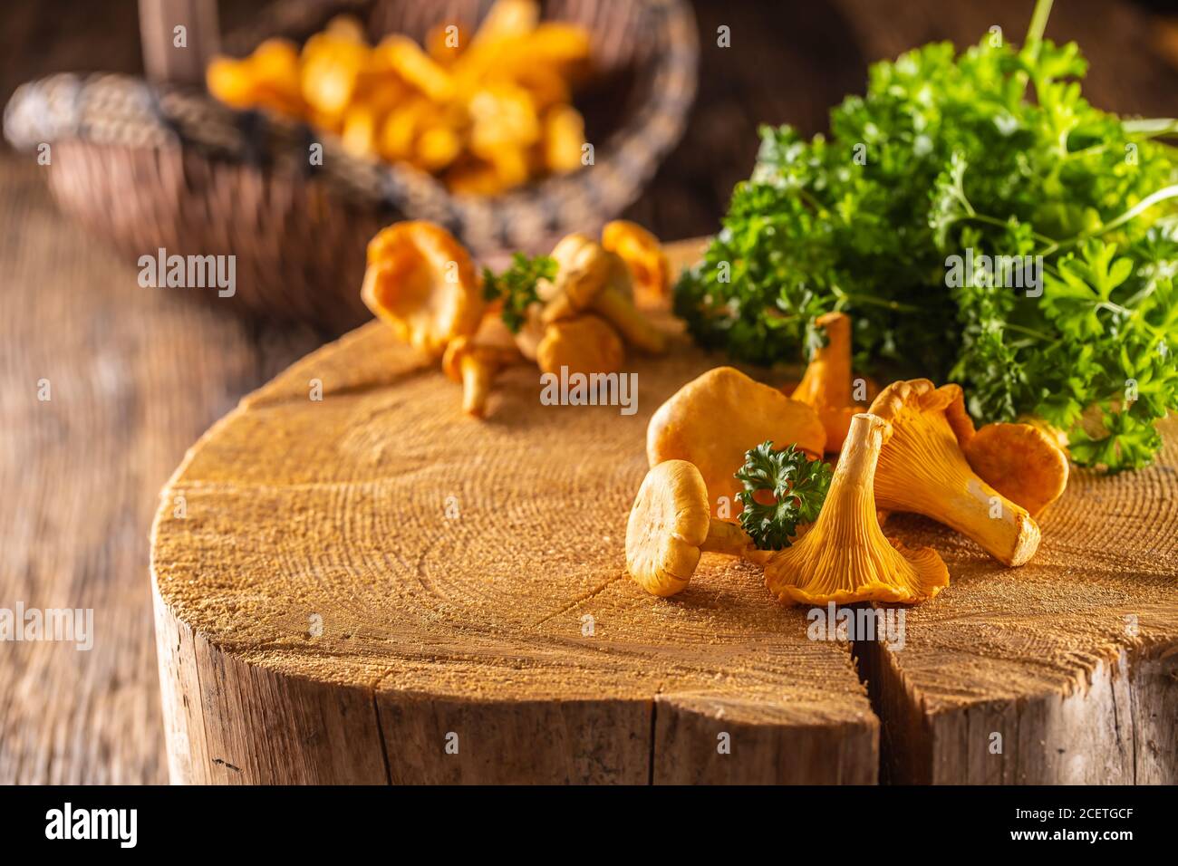 Raw chanterelles mushroom on wood with parsley herbs Stock Photo
