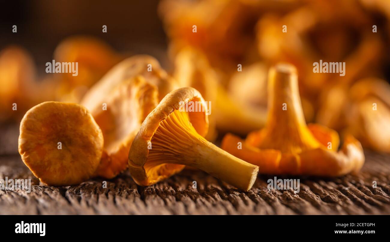 Raw chanterelles mushroom on wood with parsley herbs Stock Photo