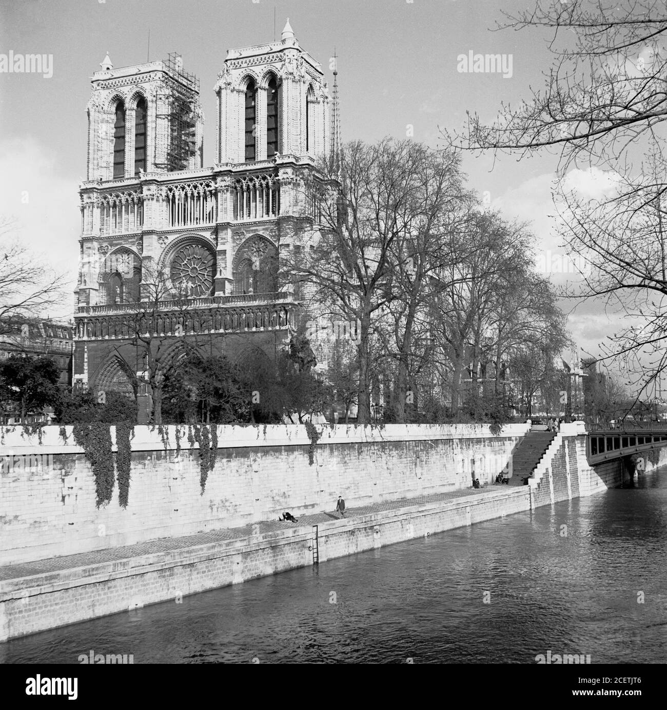 1950s, historical, The Notre-Dame Cathederal as seen from across the river Seine, Paris, France. A medieval Catholic church on the IIe de la Cite in the 4th arrondissement of Paris, it is considered one of the finest examples of French Gothic architecture. Stock Photo