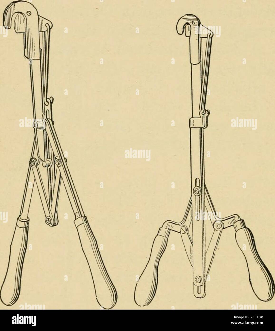 . The pruning-book; a monograph of the pruning and training of plants ...