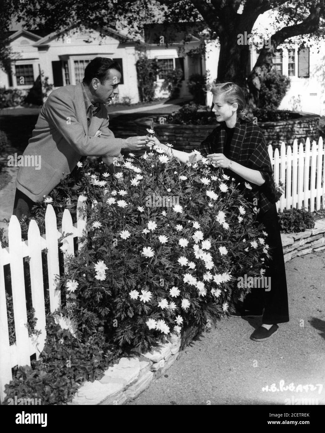 HUMPHREY BOGART and LAUREN BACALL 1945 newlyweds candid portrait at ...