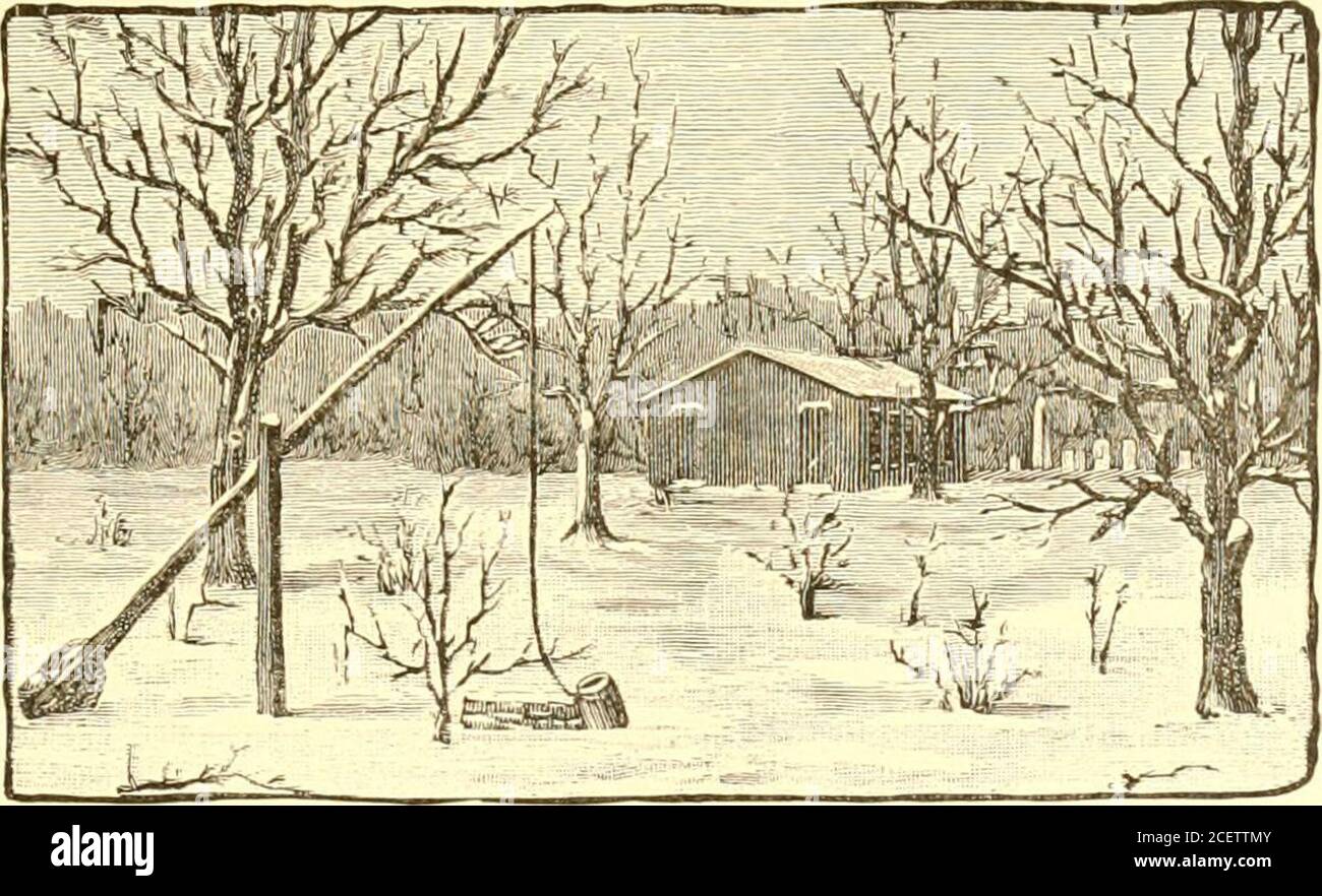 Kentucky politicians. Sketches of representative Corncrackers and other  miscellany. Old Providence Church, and the Tomb of General Robert B.  McAfee, nearMcAfees Station, Mercer County, Ky. CHRISTMAS TIMES OF LONG  AGO. And