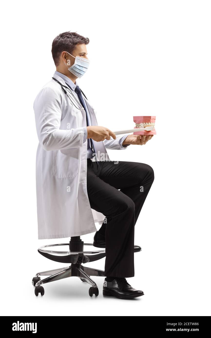 Dentist with a face mask sitting on a chair and holding a jaw model and a brush isolated on white background Stock Photo