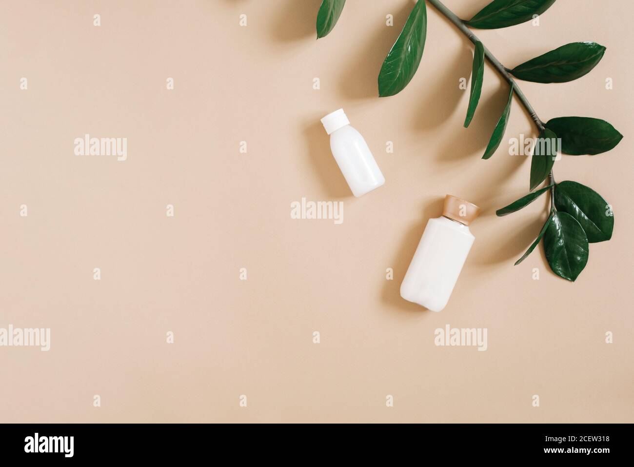 The concept of pure beauty and organic cosmetics for body care. Bottles of white cream lie on a beige background and a branch of a tropical plant. Cop Stock Photo