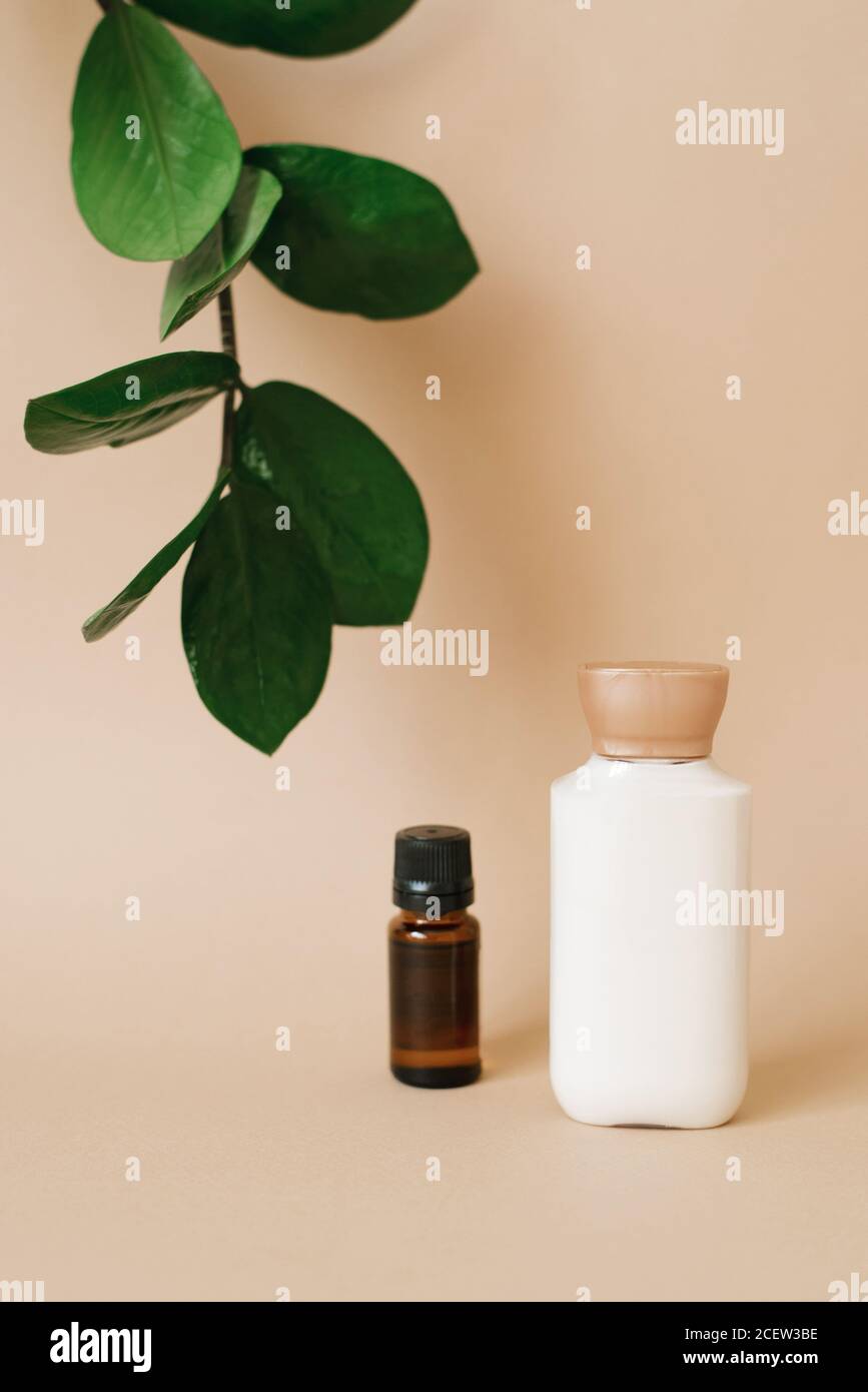 A bottle of cream for skin care for the face or body, a brown glass bottle with oil and leaves of zamiokulkas on a beige background. Organic cosmetic Stock Photo