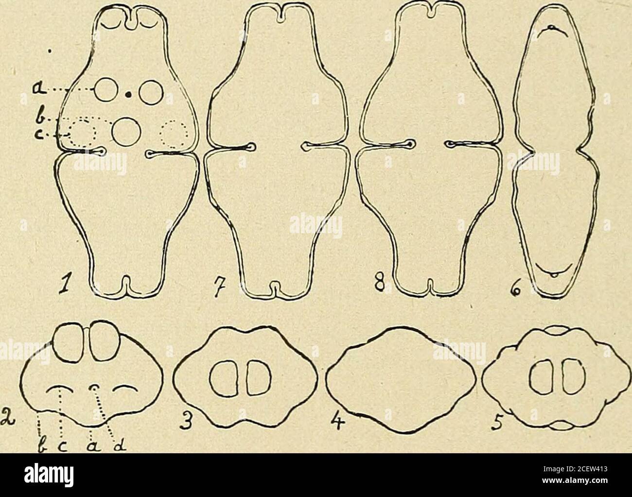 page 2 forme circulaire high resolution stock photography and images alamy