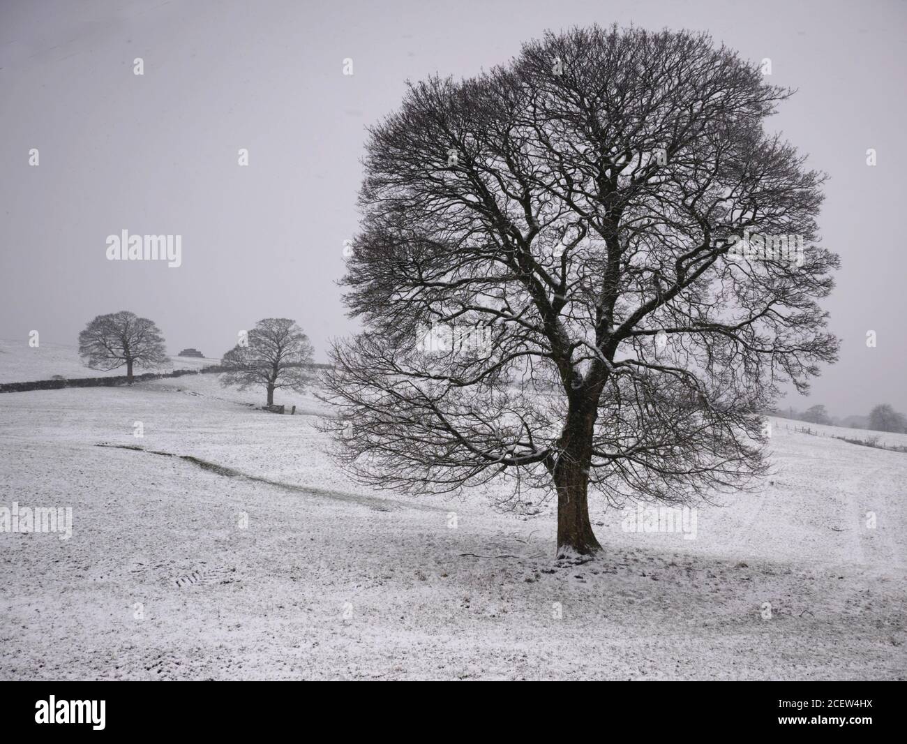 A snowy scene Hill Lane, Burnley, Lancashire. Winter. Stock Photo