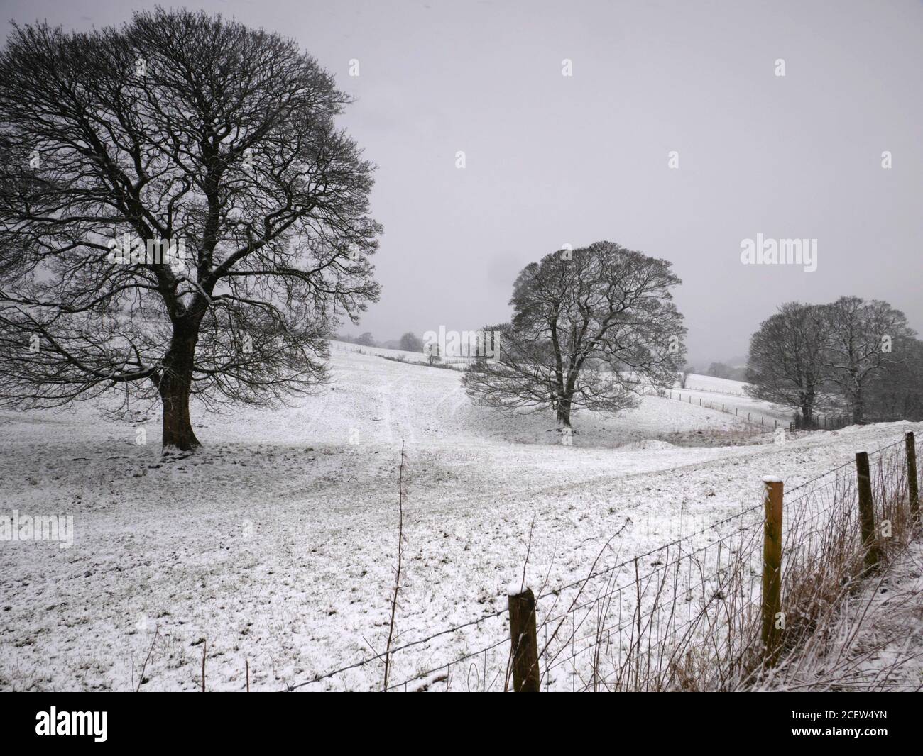 A snowy scene at Hill Lane, Burnley, Lancashire. Winter. Stock Photo