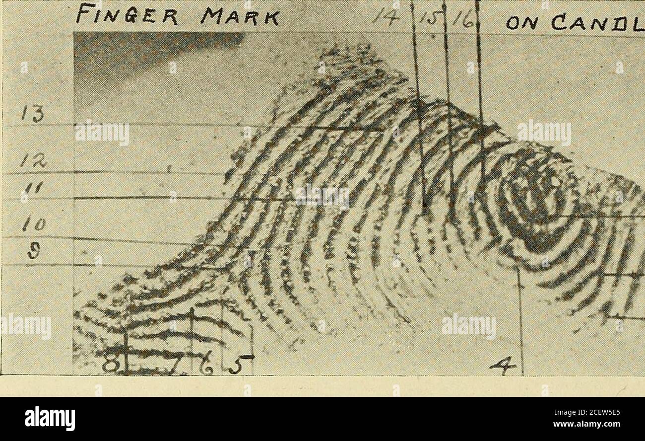 . Personal identification; methods for the identification of ...