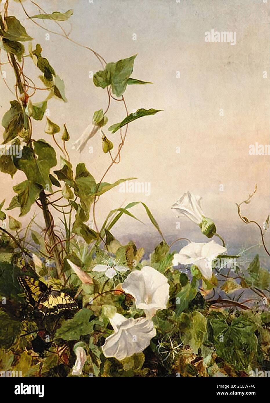 Anderson Sophie - Still Life of Flowers Capri 1 - British School - 19th  Century Stock Photo