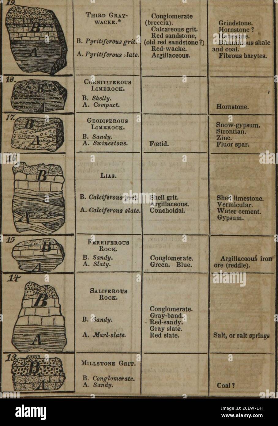 Lexicon and anatomy hires stock photography and images Alamy
