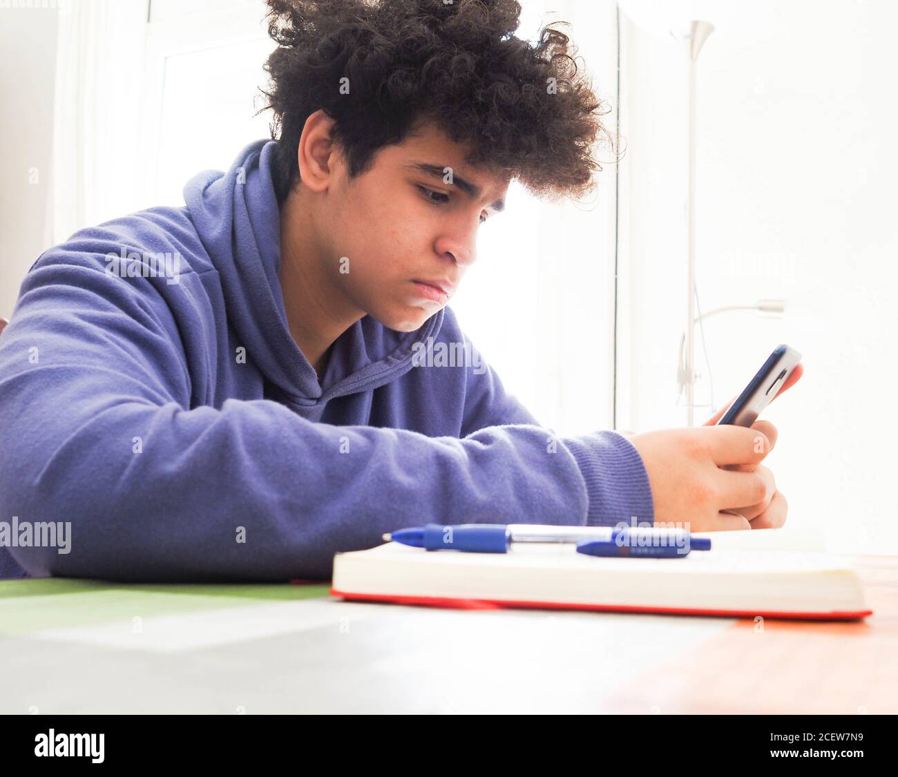 Curly young male in a purple hoodie using his phone while studying Stock Photo