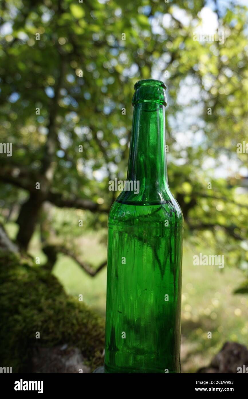 Green Bottle in the Nature Stock Photo
