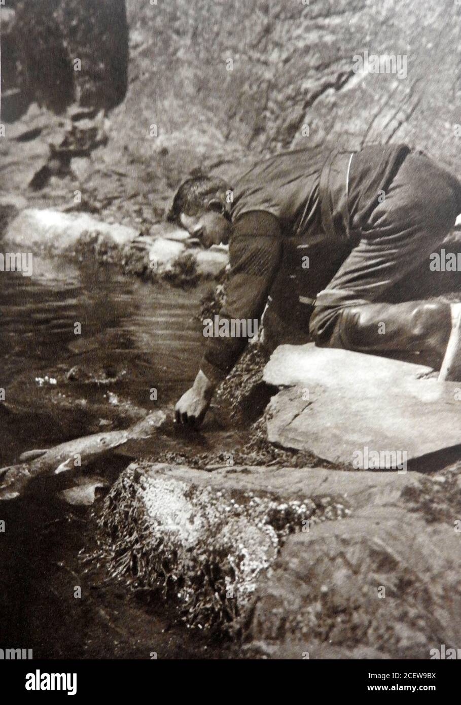 1933 photo - A fisherman feeds tame  wild Cod with mussels in a sea-filled fish pond  larder built by   Colonel Andrew M'Douall  (aka McDowall) 1758-1834, the former M P for Wigtown, Scotland from a natural blowhole. The modern Logan Fishpond Marine Life Centre still exists and is the oldest natural marine aquarium in the UK, if not the world and is open to the public and as well as Cod, visitors can see wrasse, grayling, cod, turbot, mullet and pollock. Stock Photo