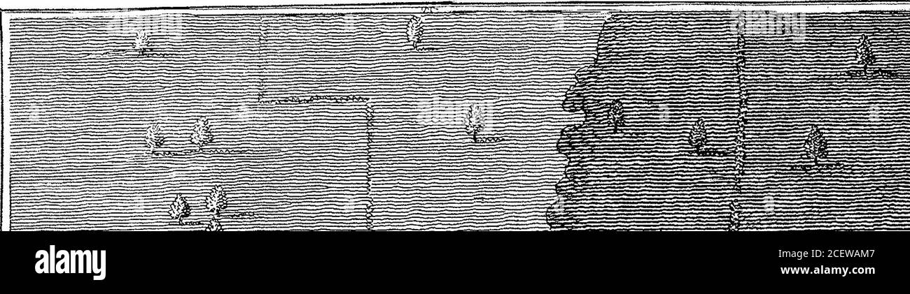 Page 3 Bart S High Resolution Stock Photography And Images Alamy