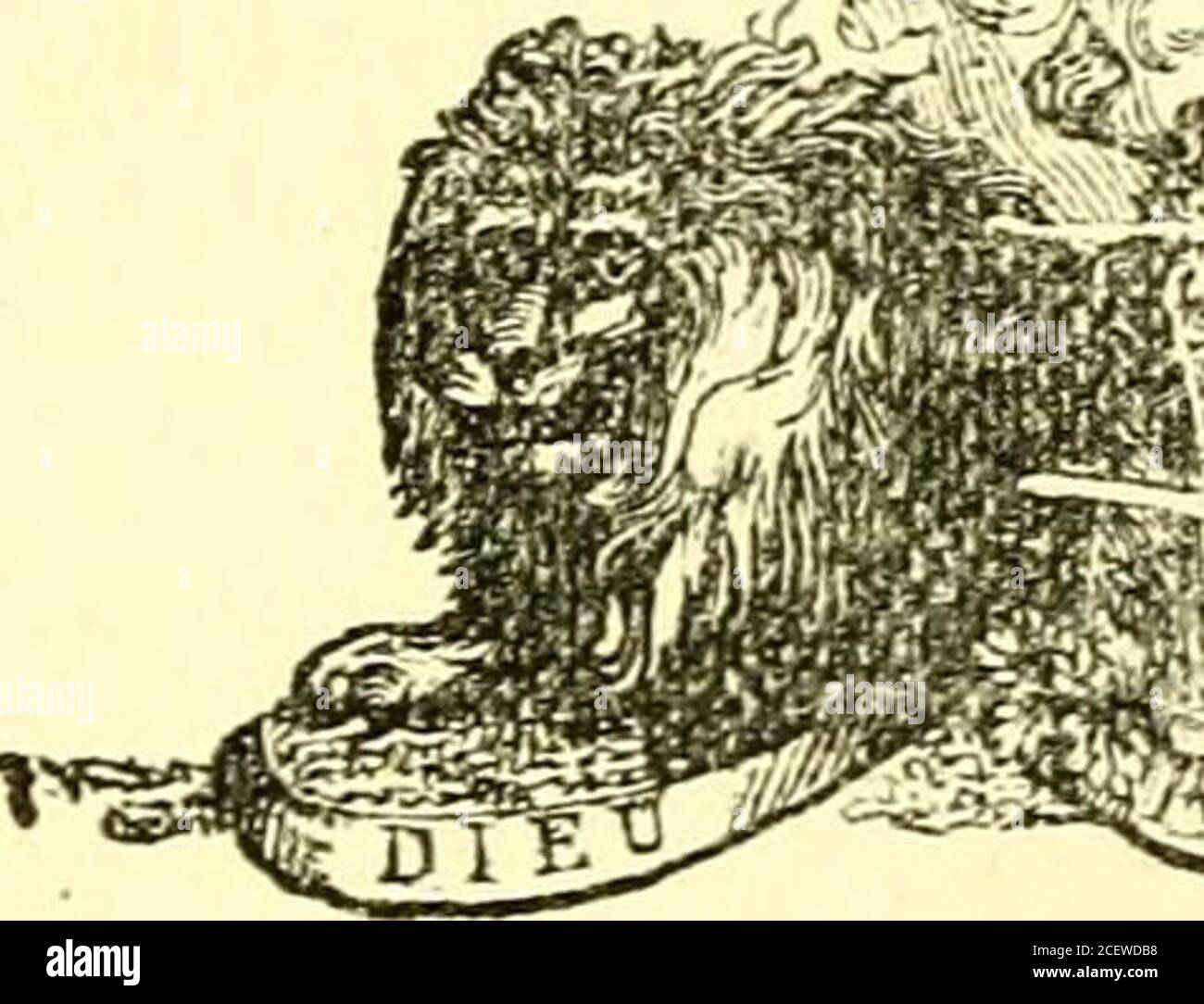 LORD DON ／don Tasmania essay LORD DON ／don Tasmania essay Snowdon: Tasmania Essay Text