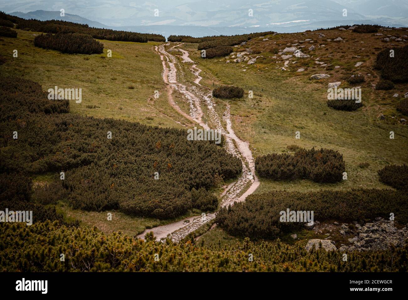 Rocky path on a hike in High Tatras Stock Photo