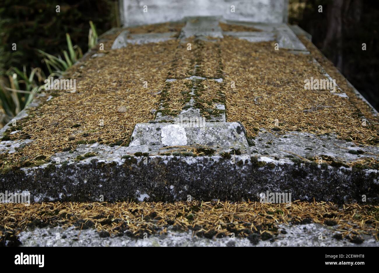 Lichen full gravestone hi-res stock photography and images - Alamy