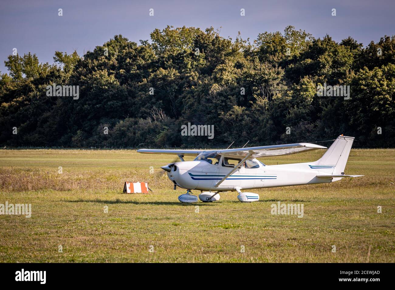 Small white airplane landing on a grass field during a sunny day Stock Photo