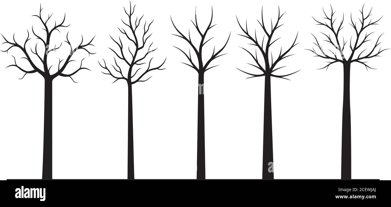 Set black Trees with Roots. Vector outline Illustration. Plant in Garden. Stock Vector