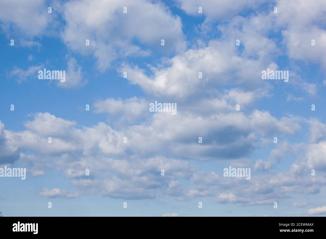 Low angle shot of clouds in the blue sky Stock Photo - Alamy