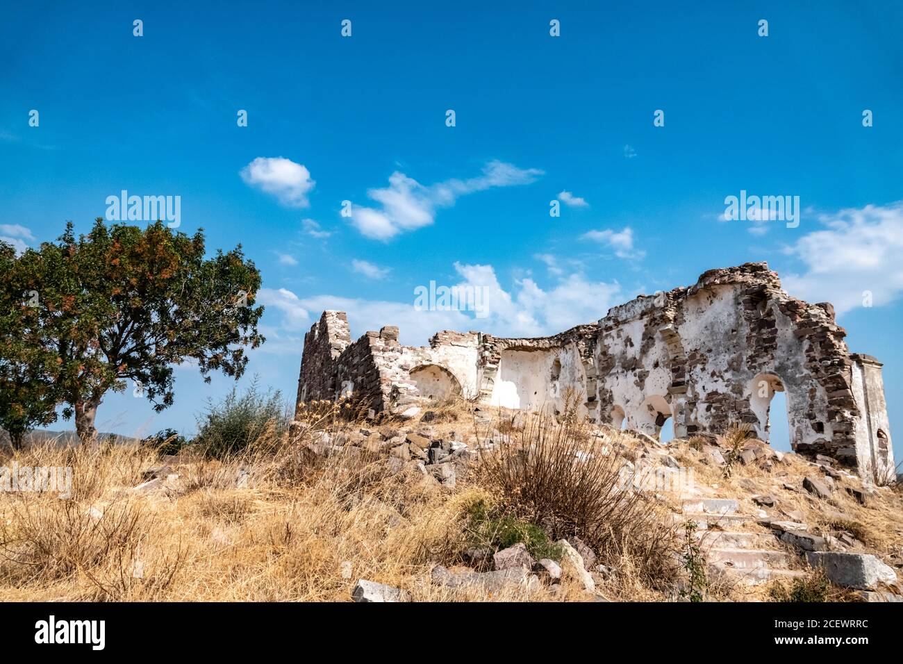 Aphrodite of knidos hi-res stock photography and images - Alamy