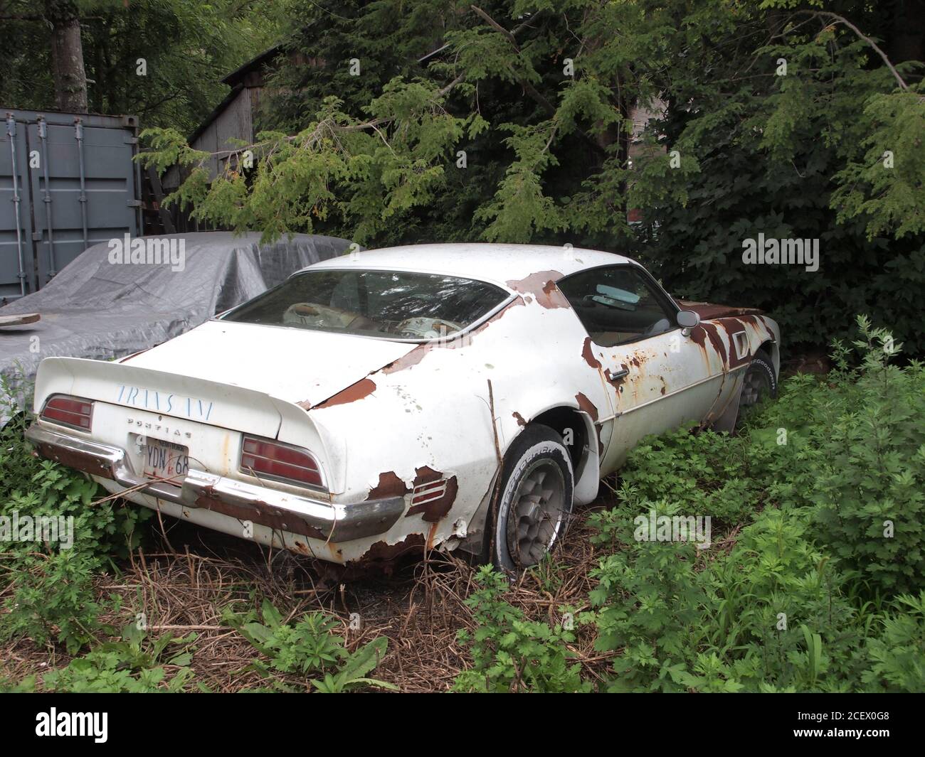 Abandoned classic cars in a filed in Sussex County, New Jersey. A white Pontiac Firebird Trans Am and two early Chrysler products rust away. Stock Photo