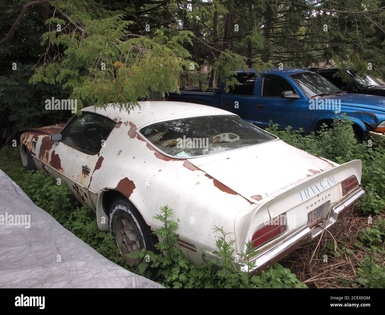 Unrestored classic pontiac firebird hi-res stock photography and images -  Alamy