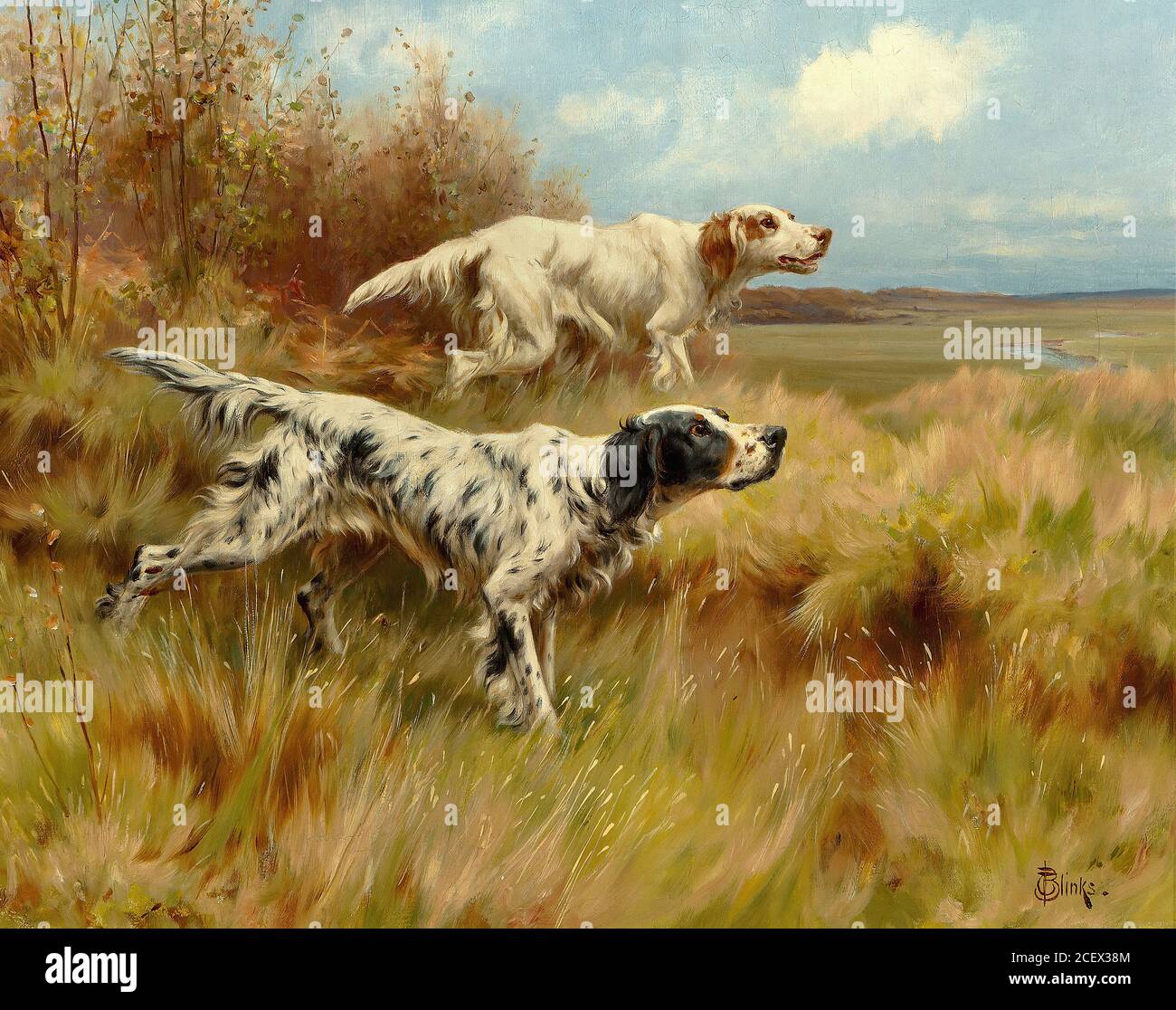 English setters hi-res stock photography and images - Alamy